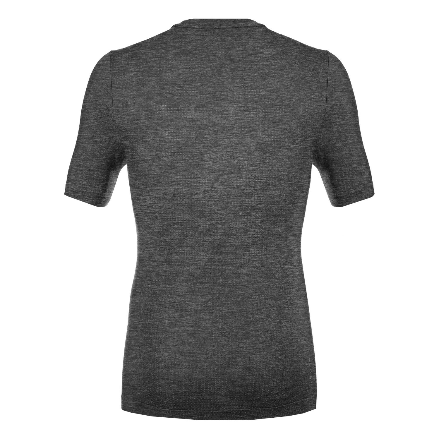 Camisas Manga Corta Salewa Pedroc Merino Responsive Seamless T-Shirt Hombre Gris | MR2768350