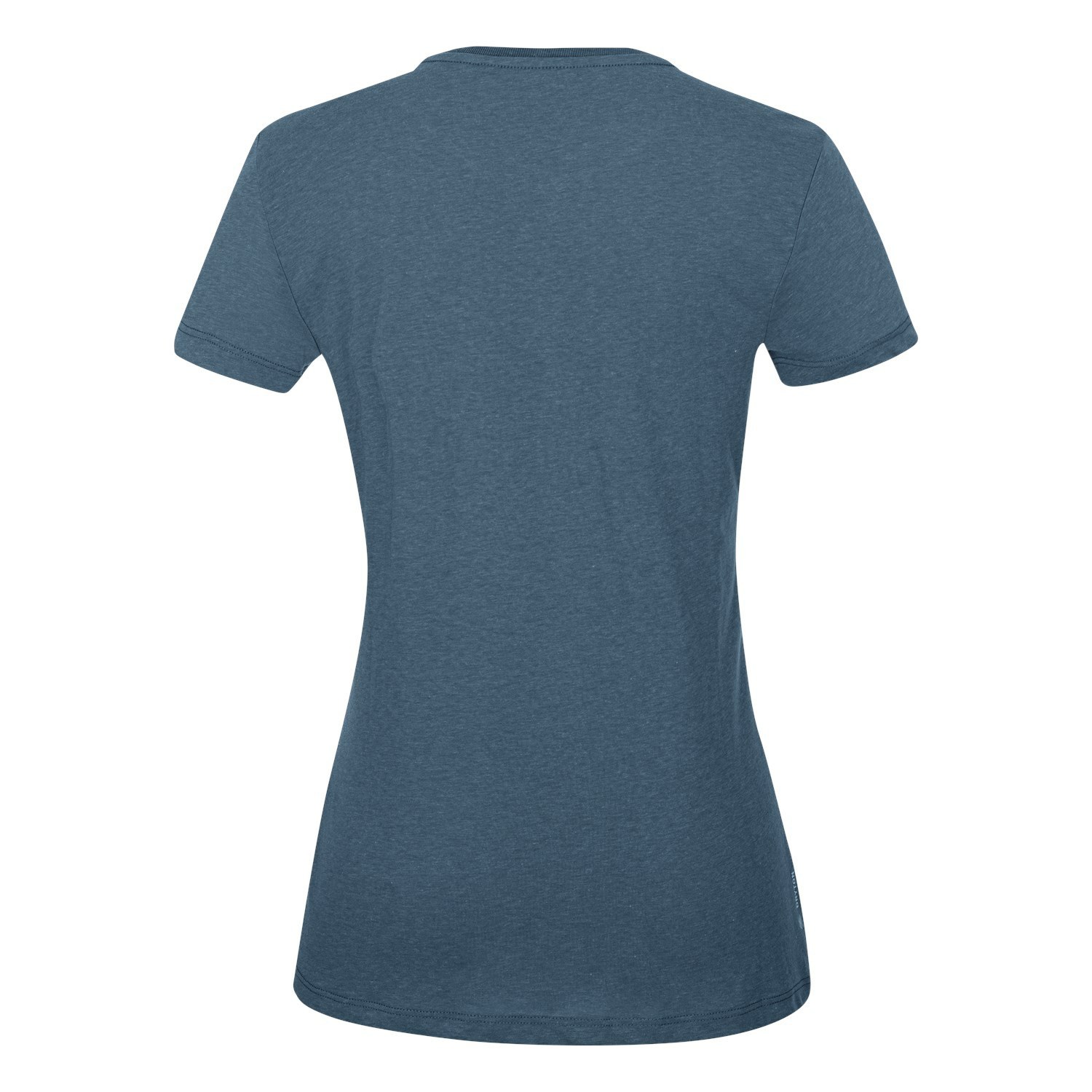 Camiseta Salewa Frames Dry Mujer Azules | TI7591482