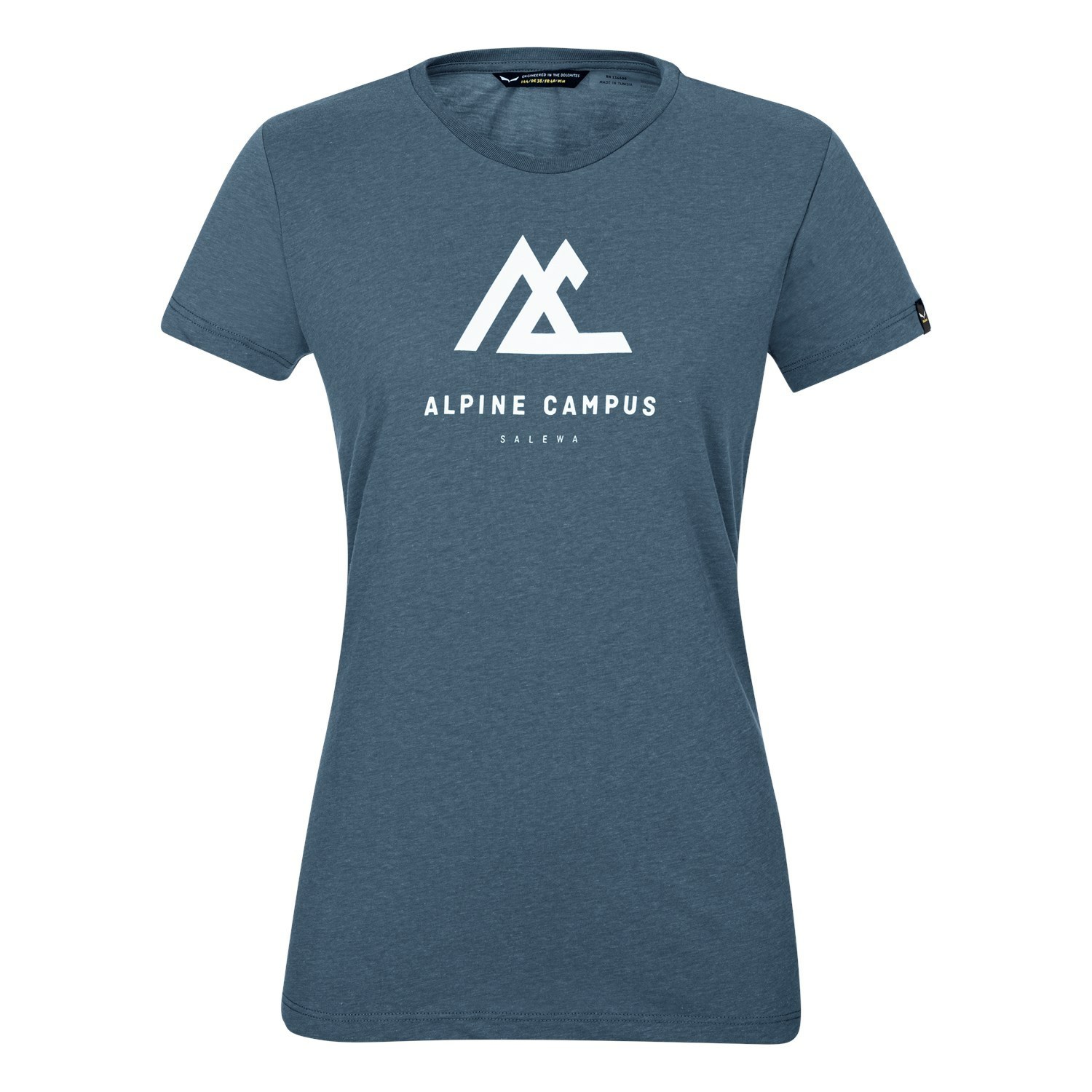 Camiseta Salewa Frames Dry Mujer Azules | TI7591482