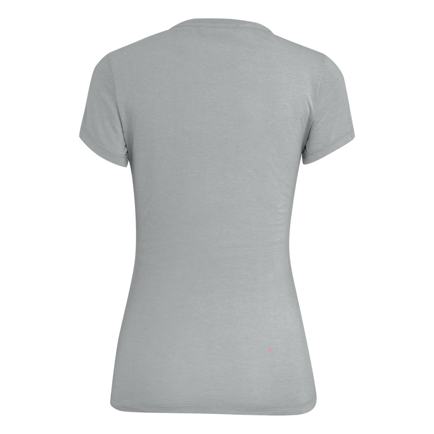 Camiseta Salewa Lines Graphic Dry Mujer Gris Claro | DM2760891