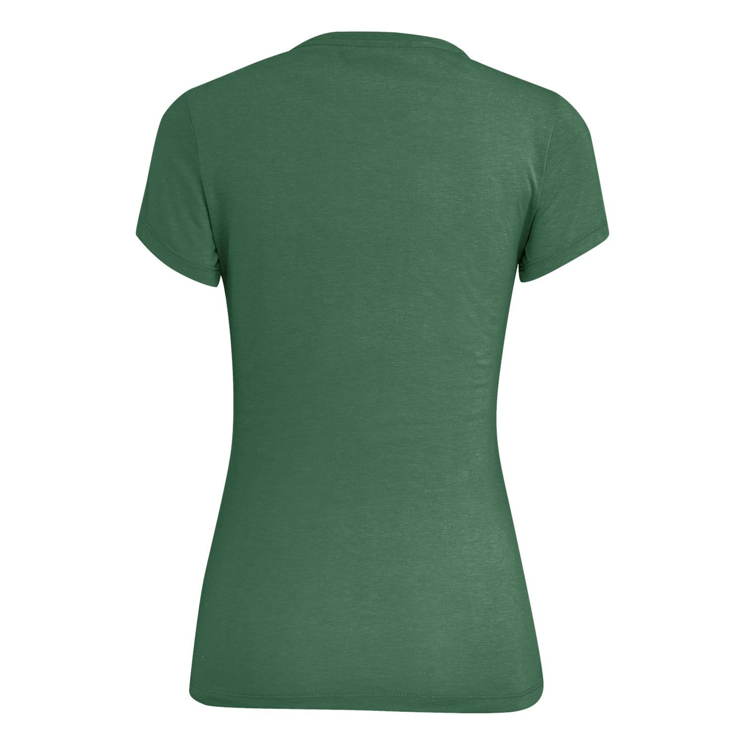 Camiseta Salewa Lines Graphic Dry Mujer Verde | KR2681059