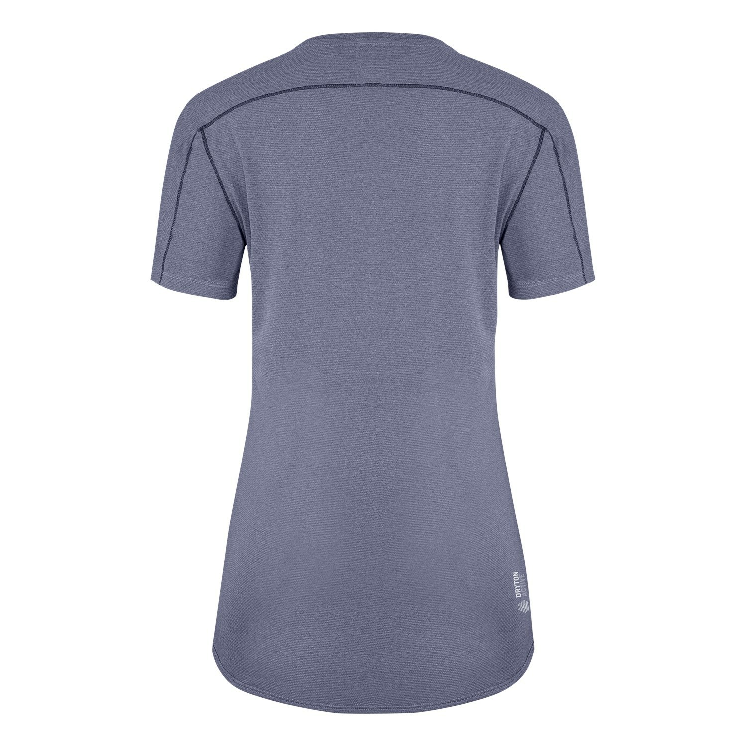 Camiseta Salewa Pedroc 3 Dry Mujer Azules | TW3651748