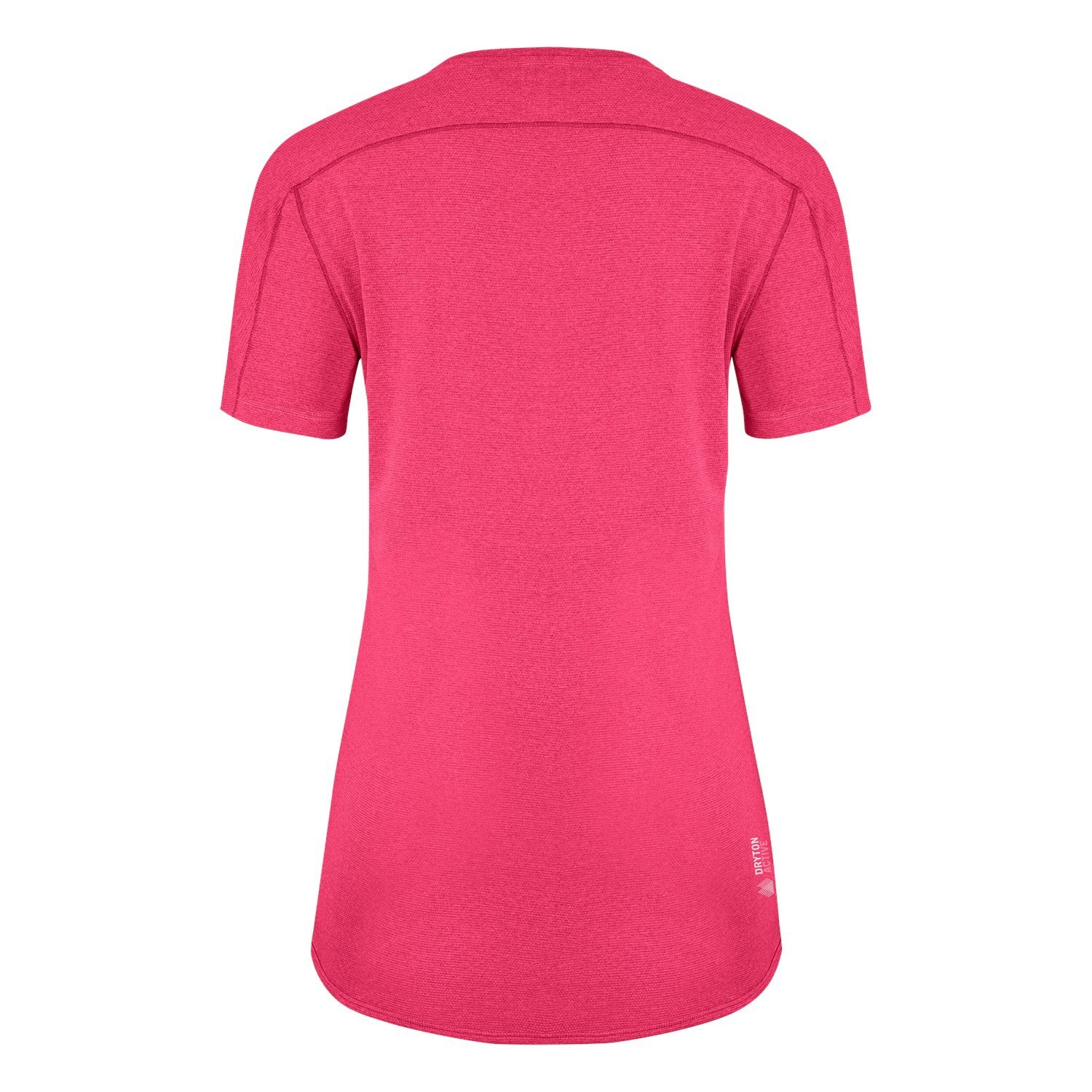 Camiseta Salewa Pedroc 3 Dry Mujer Verde | IX2359071