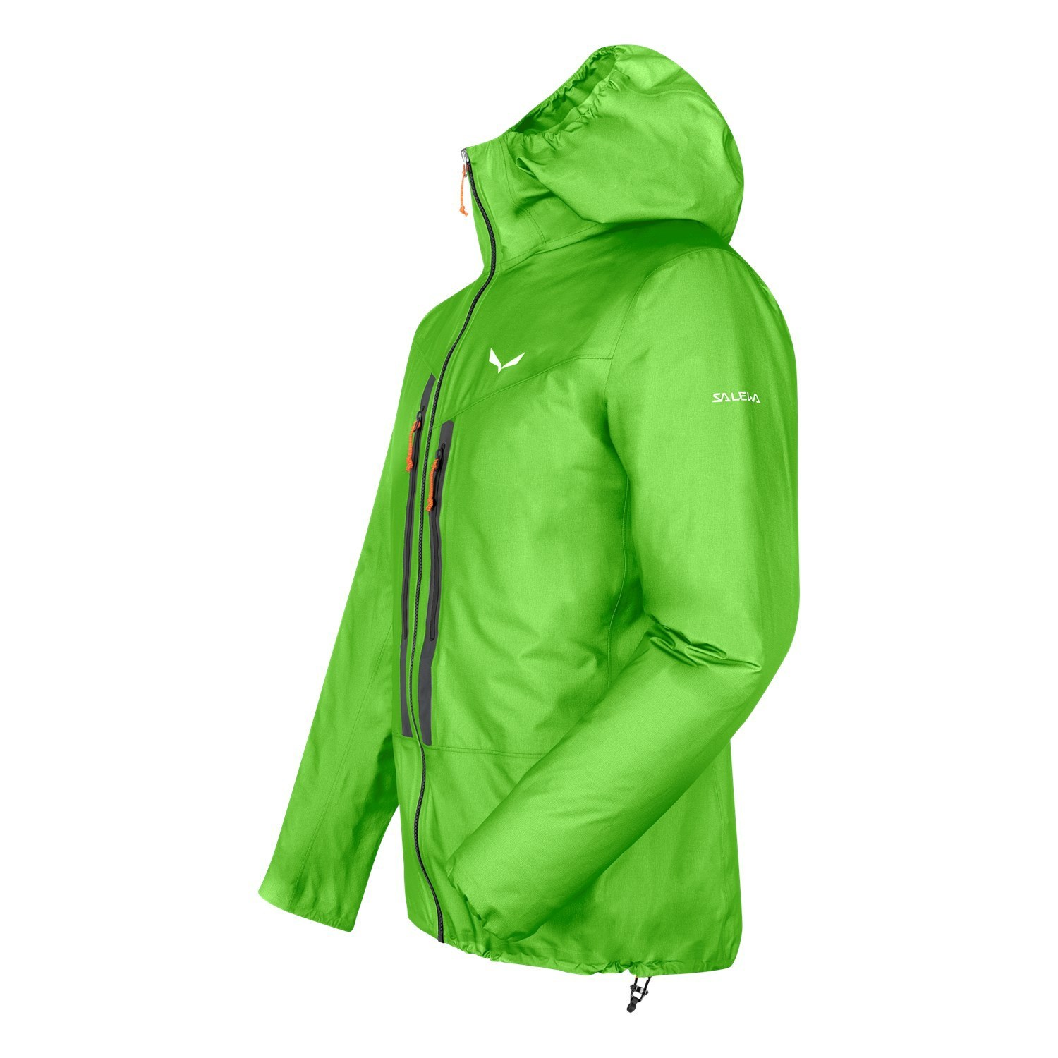 Chaqueta Impermeable Salewa Lagorai GORE-TEX® Active Hombre Verde | EV7934806