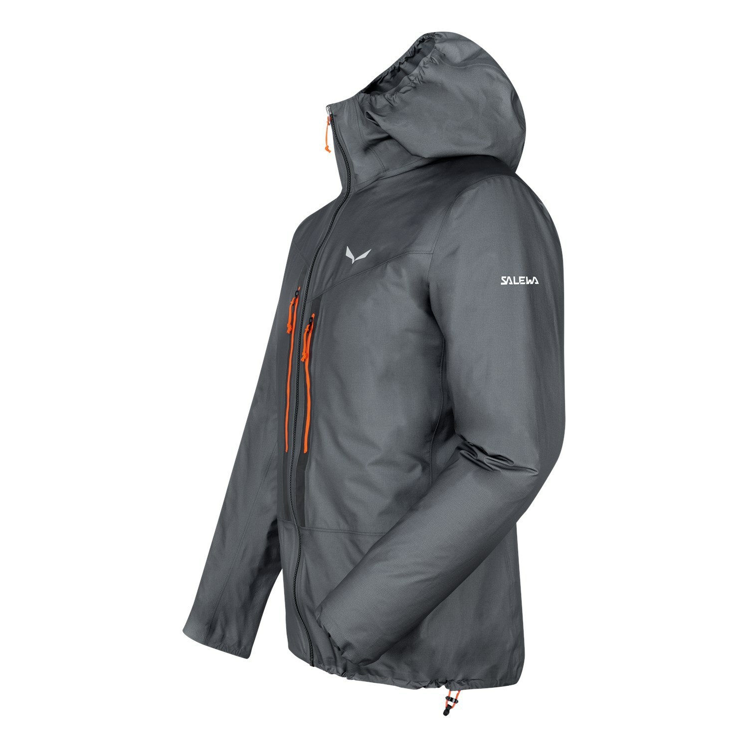 Chaqueta Impermeable Salewa Lagorai GORE-TEX® Active Hombre Gris | XQ7193068