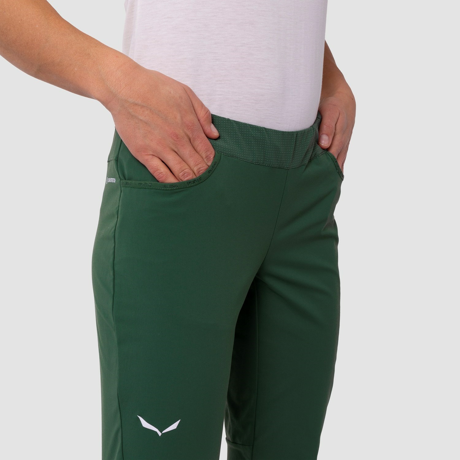 Pantalon Softshell Salewa Agner Light Durastretch Mujer Verde | OI2498605