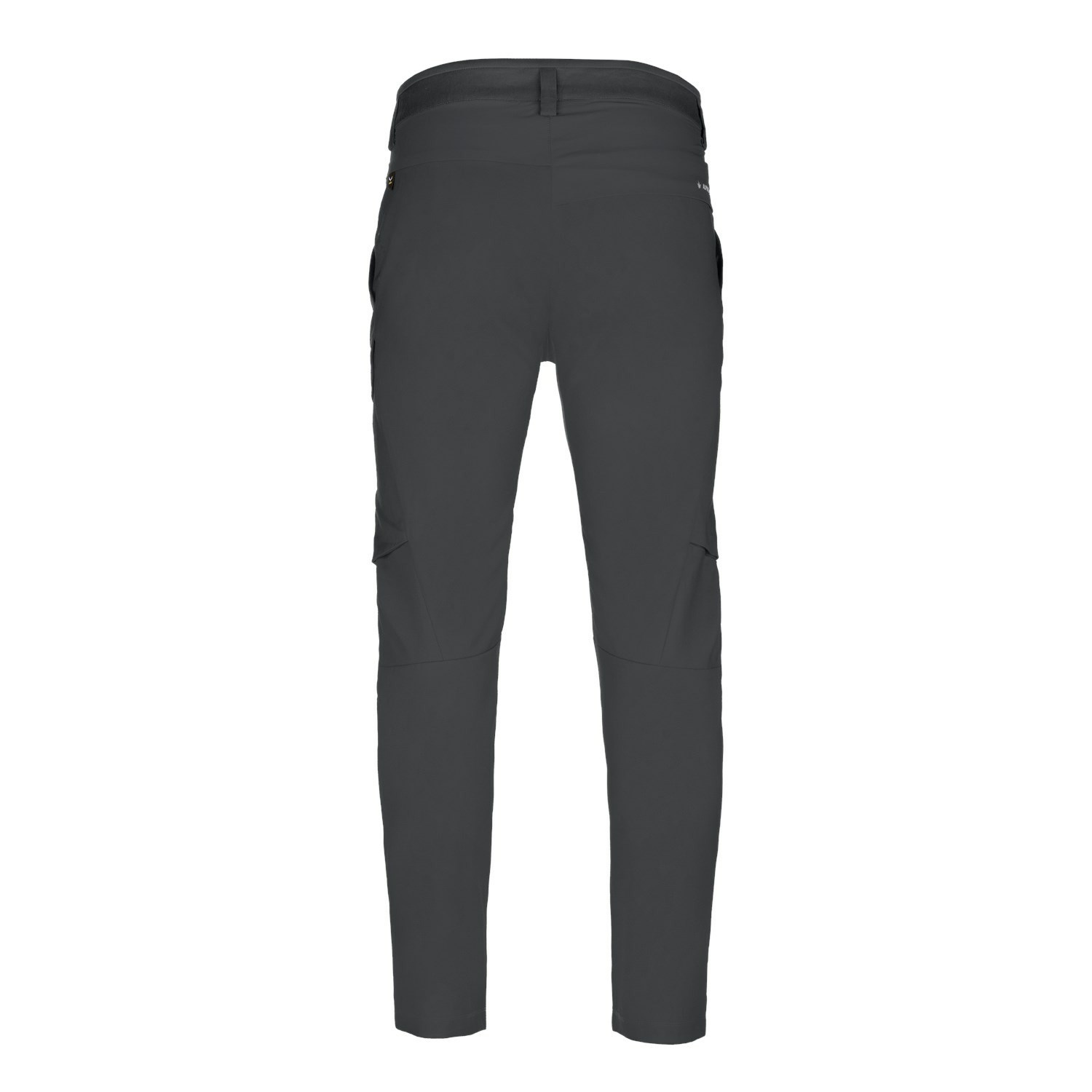 Pantalon Softshell Salewa Puez Hemp Cargo Hombre Gris | BQ9062437