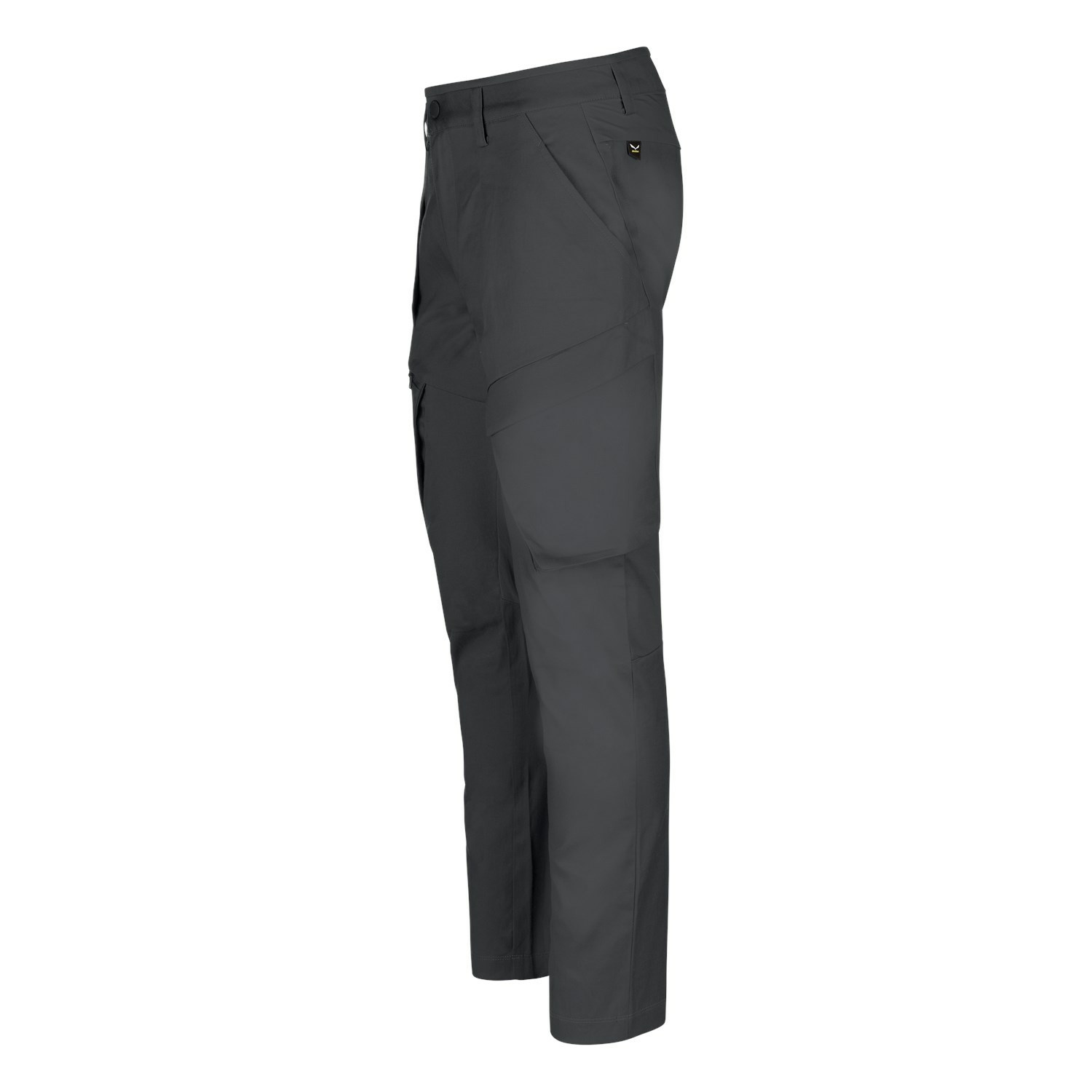 Pantalon Softshell Salewa Puez Hemp Cargo Hombre Gris | BQ9062437