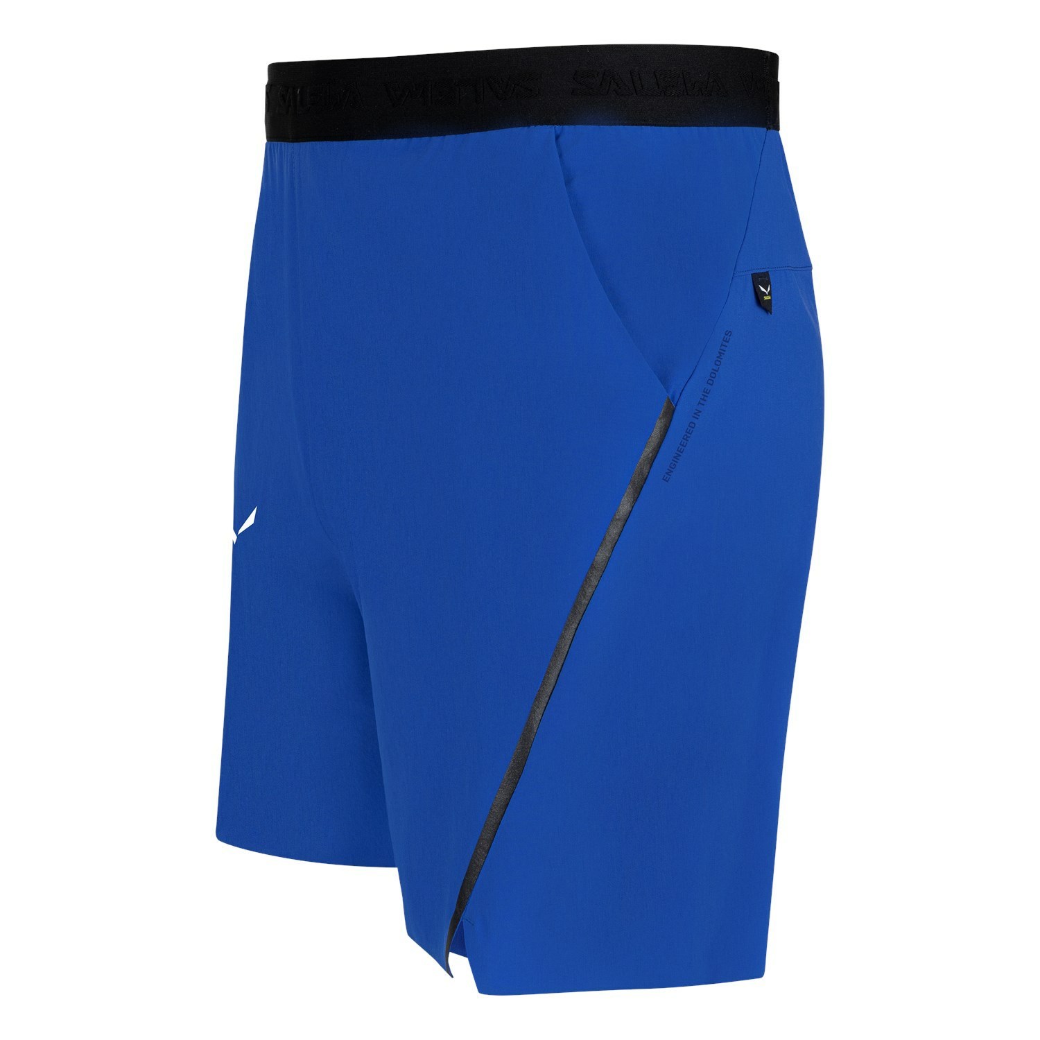 Pantalones Cortos Salewa Pedroc Durastretch Hombre Azules | CG2894607