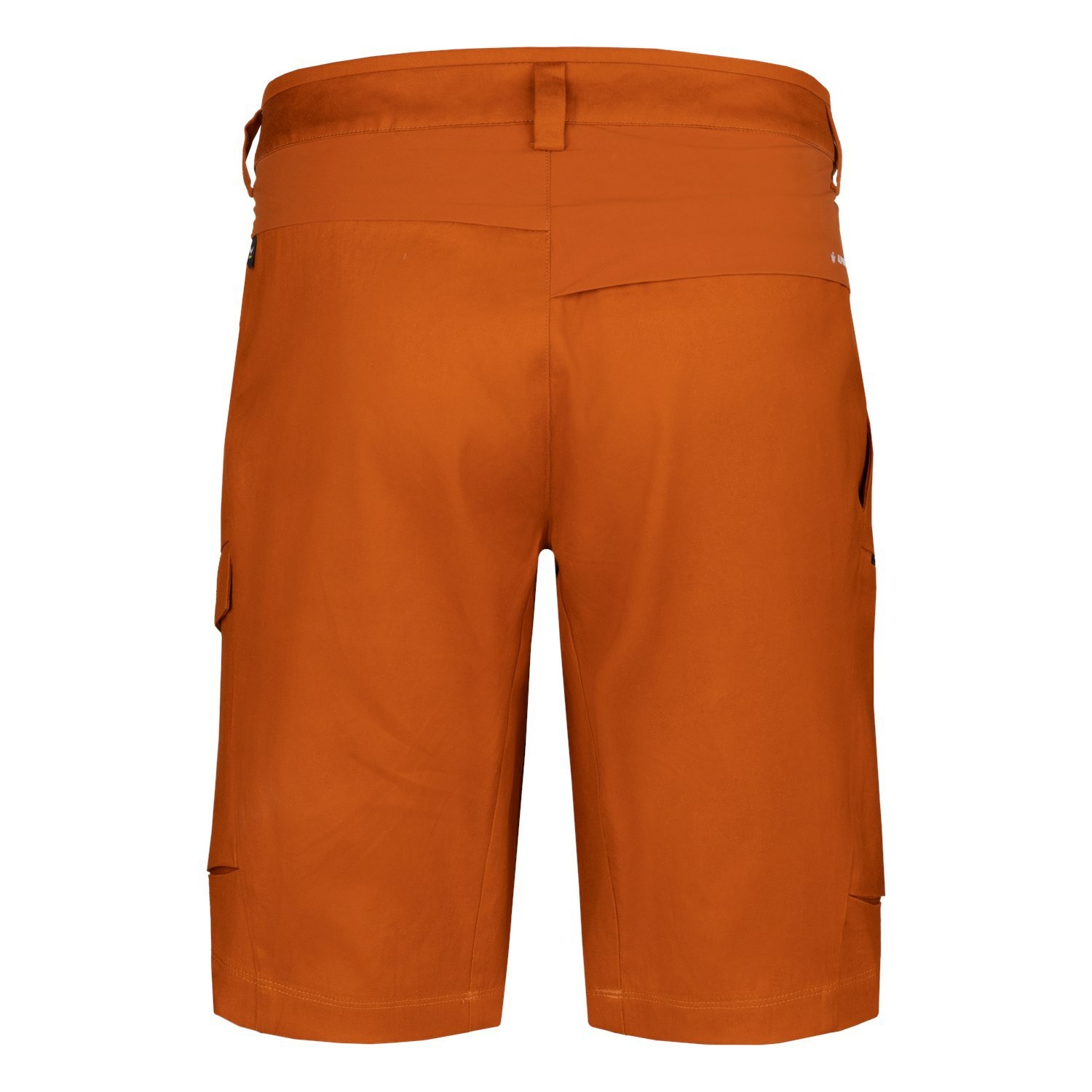 Pantalones Cortos Salewa Puez Hemp Cargo Hombre Naranjas | KA3807415