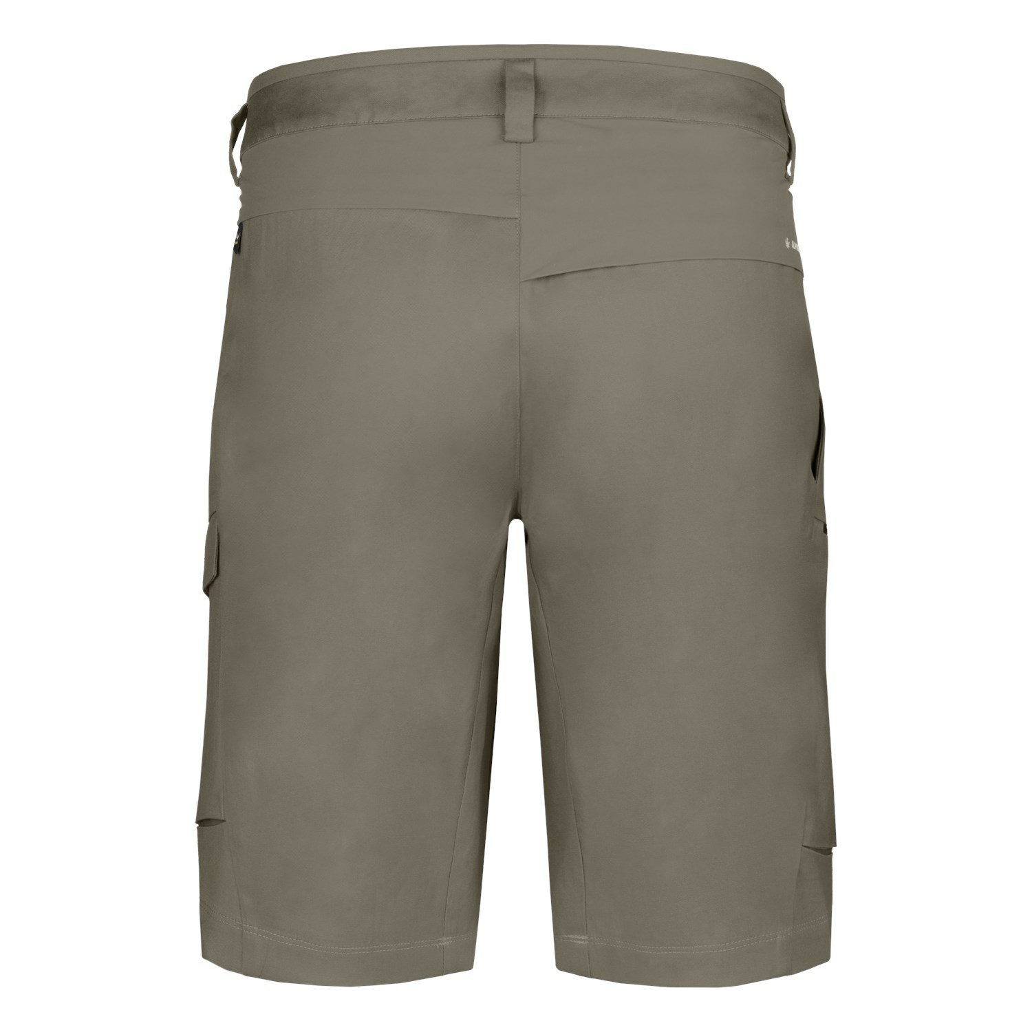 Pantalones Cortos Salewa Puez Hemp Cargo Hombre Marrones | XY6875420