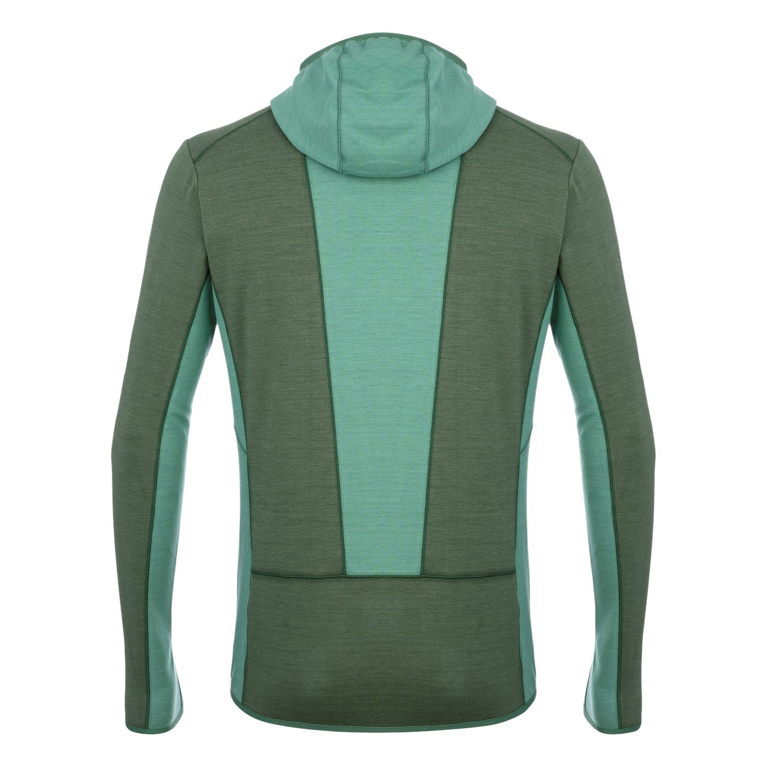 Sudadera Con Capucha Salewa Light Micro Polarlite Full Zip Encapuchado Chaquetas Hombre Verde | AY6958742