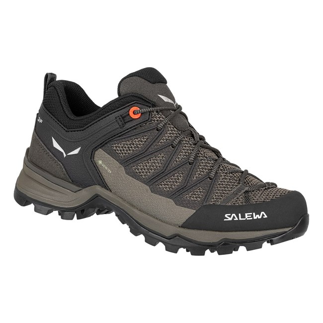 Botas Montaña Salewa Mountain Trainer Lite GORE-TEX® Mujer Marrones | DE6254038