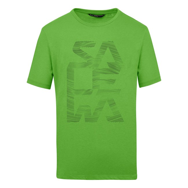 Camisas Manga Corta Salewa Print Dry T-Shirt Hombre Verde | WG4281039