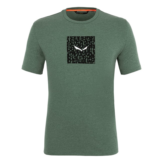 Camisas Manga Corta Salewa Pure Box Dryton T-Shirt Hombre Verde | QZ4317208