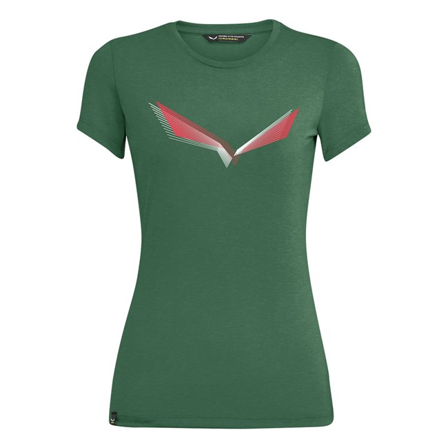 Camiseta Salewa Lines Graphic Dry Mujer Verde | KR2681059