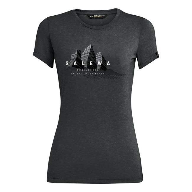 Camiseta Salewa Lines Graphic Dry Mujer Gris | UG4216058