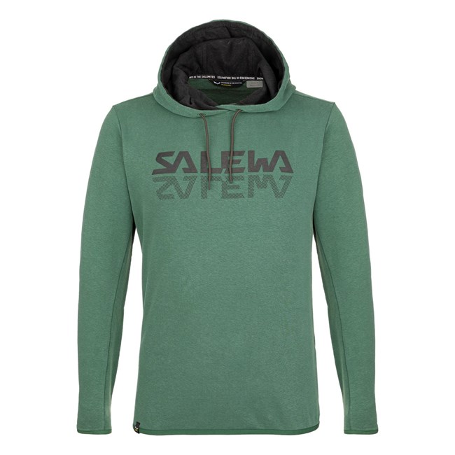 Sudadera Con Capucha Salewa Puez Hemp Logo Hoodie Hombre Verde | JY0917834